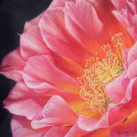 Pink Majesty by Melissa Enderle