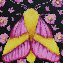 Pink Moth by Lucia Stewart
