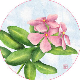 Pink Periwinkles in Bloom by Snow Iris Studio