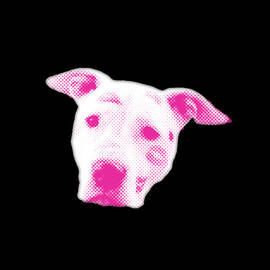Pink Pitbull Head by Flippin Sweet Gear