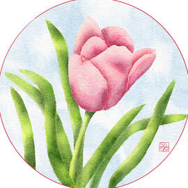 Pink Tulip in Bloom by Snow Iris Studio