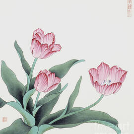 Pink Tulip II by Da Mei and Wen Lin
