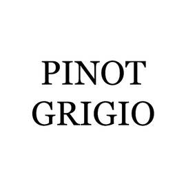 Pinot Grigio Wine Costume by Flippin Sweet Gear