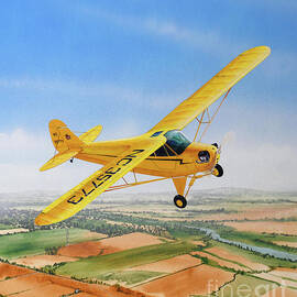 Piper J-3 Cub by Steve Ferguson