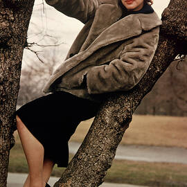 Piper Laurie Glamour Pose in Tree Vintage The Hustler 1961 by Silver Screen