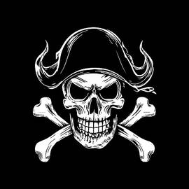 Pirate Skull and Crossbones by Flippin Sweet Gear