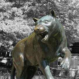 Pitt Panther 2024-2 by Richard Reeve