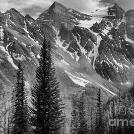 Plane Of Six Glaciers Trail View Black And White by Adam Jewell