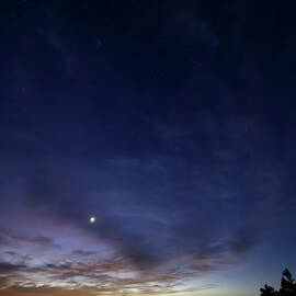 Planet Parade 2025 by Matt Halvorson