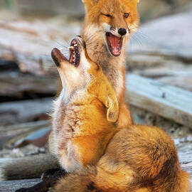 Play Time by Richard DeYoung