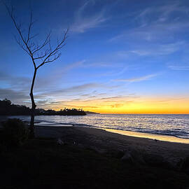 Playa Flamingo Golden Hour by Joe Schofield