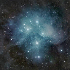 Pleiades Skull by Bruce Feagle