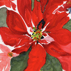 Poinsettia, Flower of the Holy Night by Elizabeth Reich