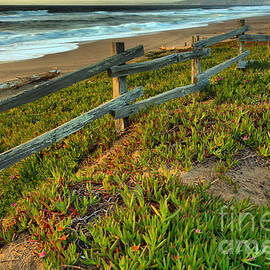 Point Reyes Beach Fence Sunset by Adam Jewell