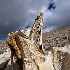 Pointing the Way by Joe Schofield