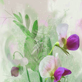 Pois de senteur by Gina Harrison