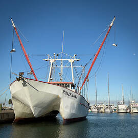 Polly Anna in Port Aransas Harbor Texas by Mary Lee Dereske