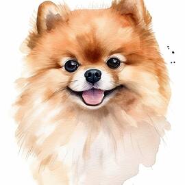 Pomeranian Puppy Portrait by Land of Dreams