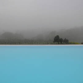 Poolside On The Vineyard by Rebecca Herranen