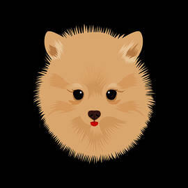 Poporanian Pup by Flippin Sweet Gear