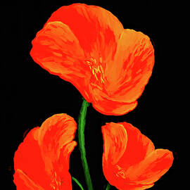 Poppy with texture by Sue Leonard