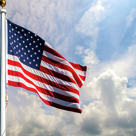 Portrait of The United States of America Flag by Bob Orsillo Studio d'artista