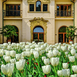 Prague in Bloom by Maryanne Keeling