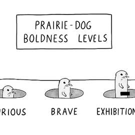 PRAIRIE DOG BOLDNESS LEVELS by Greg Nussbaum