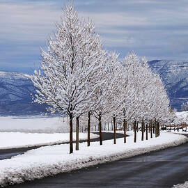 Prescott Valley Winter by Joe Schofield