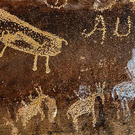 Pregnant Buffalo and Horses - Nine Mile Canyon, Utah by Abbie Matthews