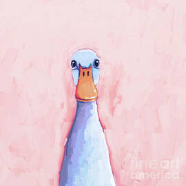 Pretty Duck by Lucia Stewart