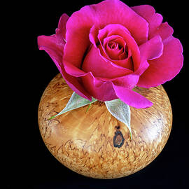 Pretty Lady by Joe Schofield