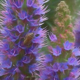 Pride of Madeira #2 Print by Rebecca Herranen