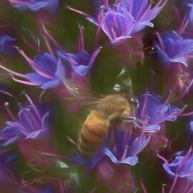 Pride of Madeira #3 by Rebecca Herranen