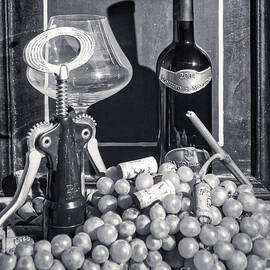 Primitivo di Manduria Italian Wine by Stefano Senise