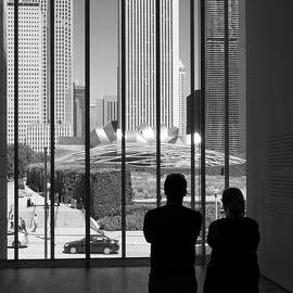 Pritzker Pavilion Chicago by Shankar Adiseshan