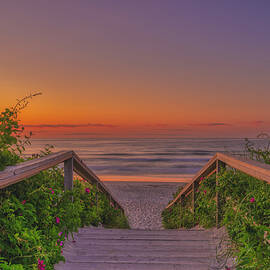 Promise and Hope by Penny Polakoff