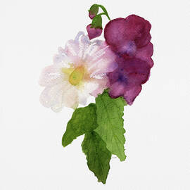 Promising Beginnings, Daisy and Sweet Peas Posy by Elizabeth Reich