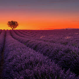 Provence Sunset by Serge Ramelli