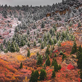 Provo Canyon Fire and Ice, Utah by Abbie Matthews