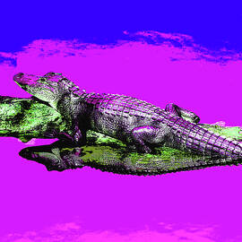 Psychedelic Gator 7B by Sally Fuller