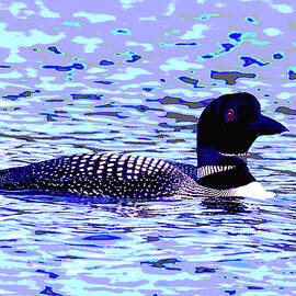 Psychedelic Loon 8A by Sally Fuller