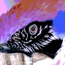 Psychedelic Macaw 5A by Sally Fuller