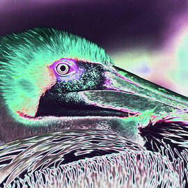 Psychedelic Pelican 15B by Sally Fuller