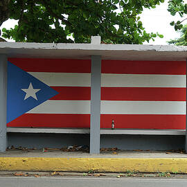 Puerto Rican Bus Stop Flag by Richard Reeve