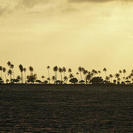 Puerto Rican Silhouettes by Richard Reeve