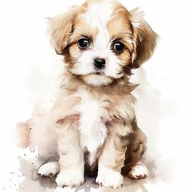 Puppy Love by Land of Dreams