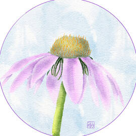 Purple Coneflower by Snow Iris Studio