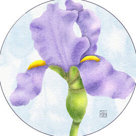 Purple Iris in Bloom by Snow Iris Studio