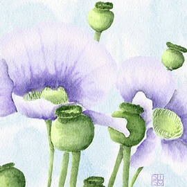 Purple Poppies in Bloom by Snow Iris Studio